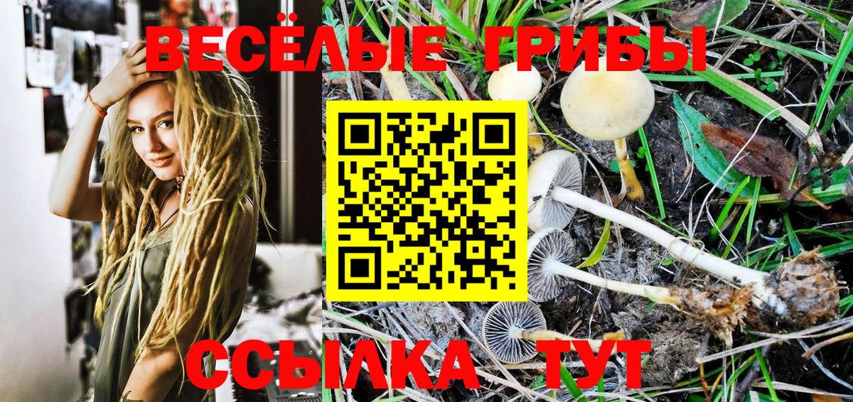 купить закладку  Псилоцибиновые грибы GOLDEN TEACHER  Вход с VPN  Лянтор 