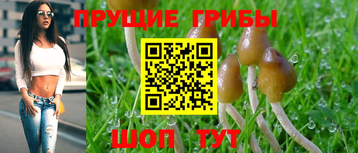 Псилоцибиновые грибы ЛСД  Лянтор 