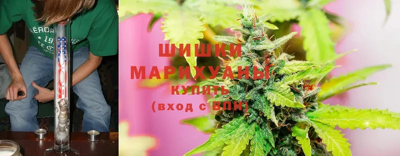 Канабис OG Kush  Лянтор 